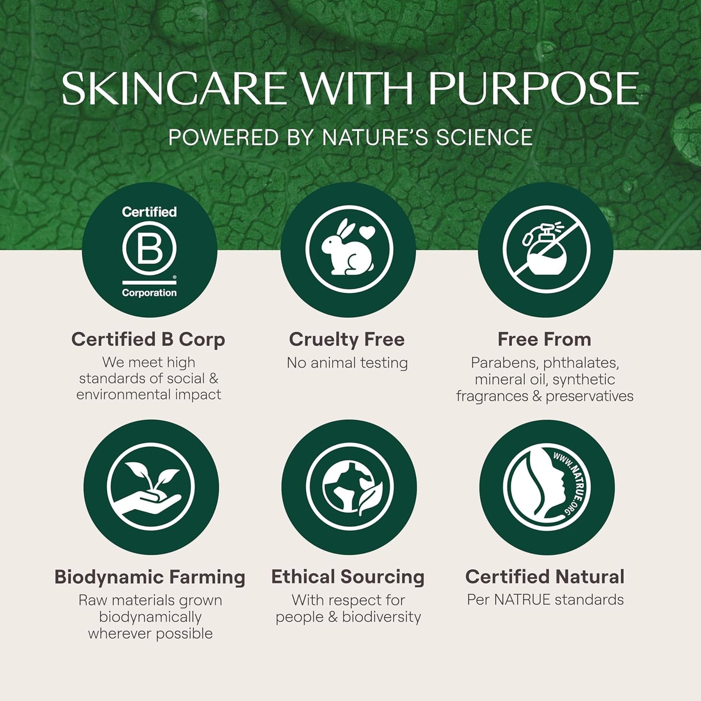 - Skin Food Light Moisturizing Cream 3-Pack - Fast-Absorbing, Ultra-Hydrating Formula with Sunflower Oil and Pansy Extract